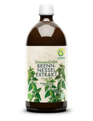 Fermentierter Brennnesselextrakt