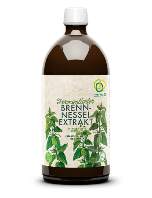 Fermentierter Brennnesselextrakt
