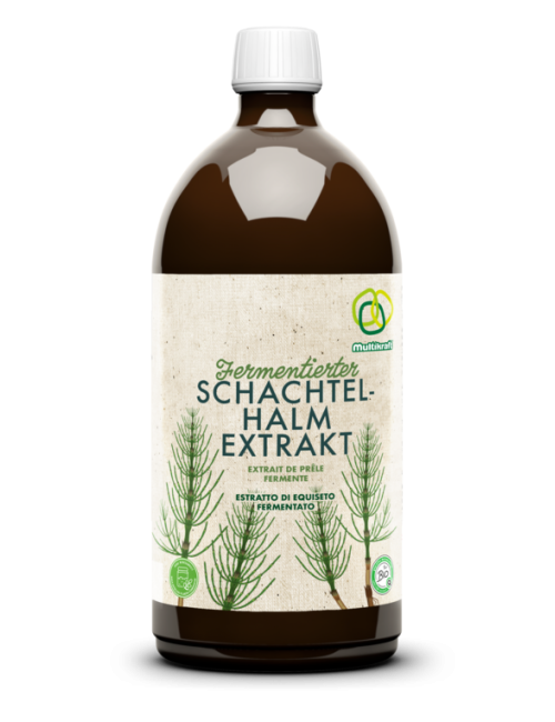 Fermentierter Schachtelhalmextrakt